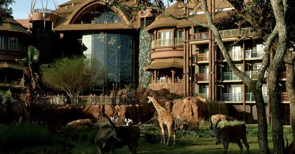View of the Animal Kingdom Lodge from the Savanna 960