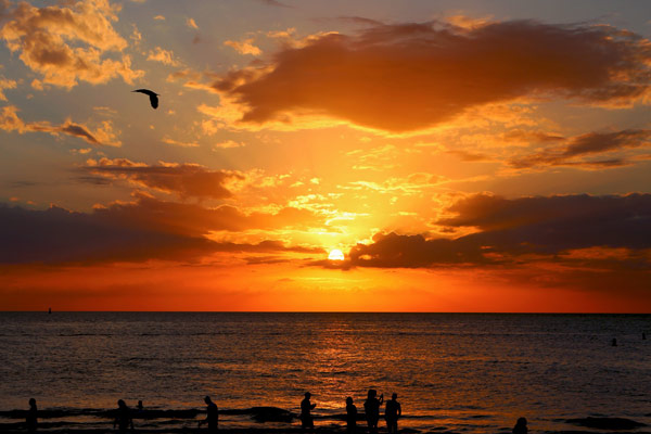 Amazing sunset on the Florida Beaches 600