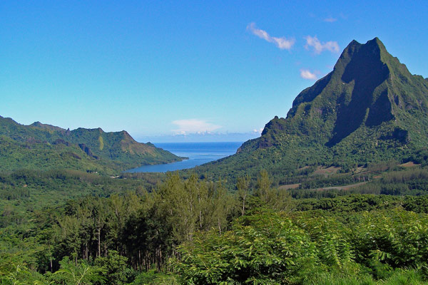 View of a mountain overlooking the pacific ocean on Moorea French Polynesia 600
