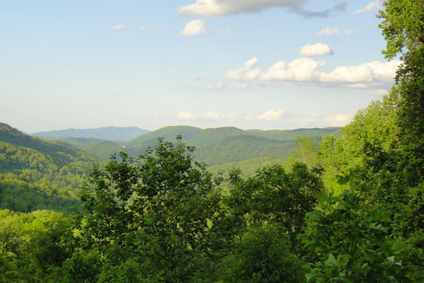 View of the Smoky Mountains in Tennessee all green 600