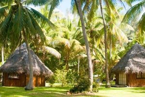 View of the bungalows in the forest at the Blue Heaven Island in Bora Bora 600