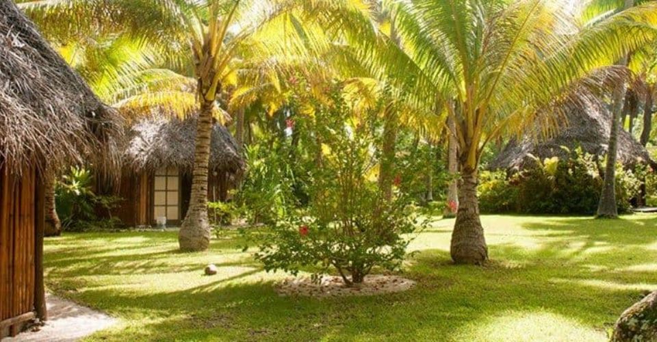View of the bungalows in the forest at the Blue Heaven Island in Bora Bora 960
