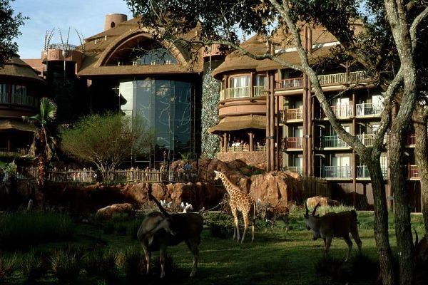 View of the Animal Kingdom Lodge from the Savanna 600