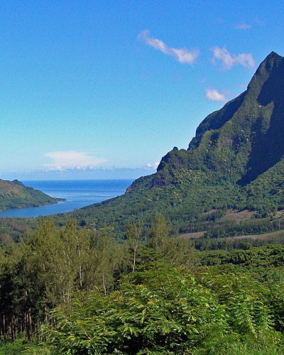 View of a mountain overlooking the pacific ocean on Moorea French Polynesia 400