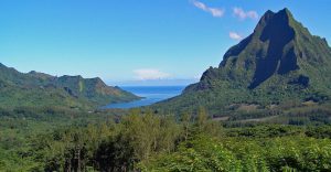 View of a mountain overlooking the pacific ocean on Moorea French Polynesia 960