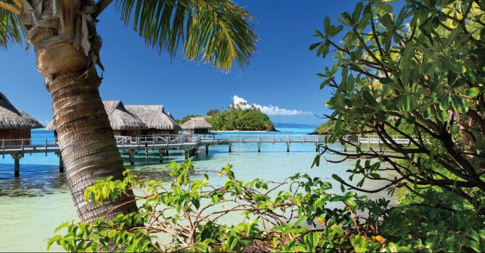 View of the Overwater Bungalows at Sofitel Private Island Resort in Bora Bora through the Palms 960