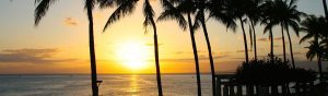 Sunset Views through the Palm Trees on Honolulu 1200
