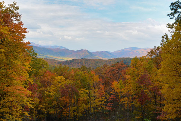 View of the Smoky Mountains in Tennessee all Fall 600